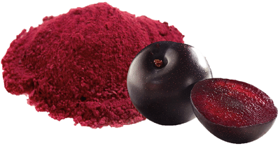 Nutrafuit powder