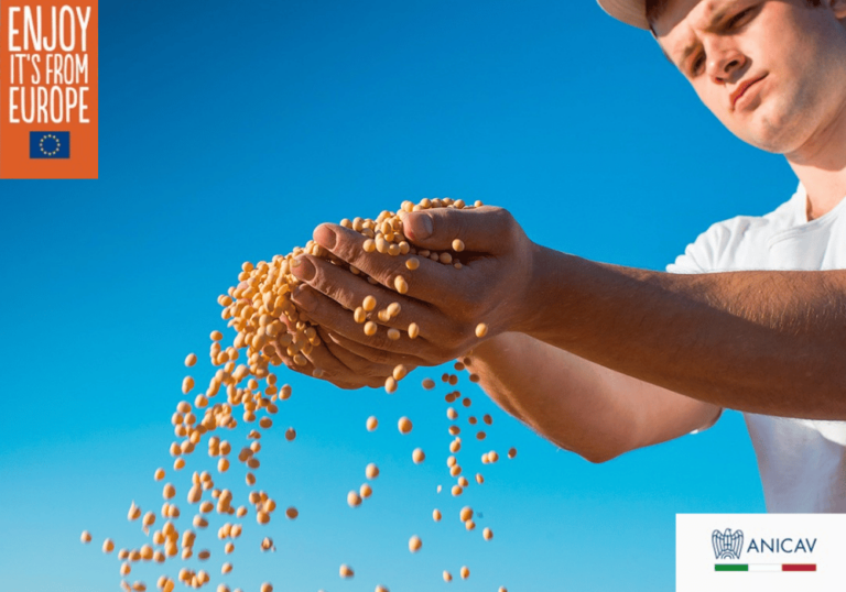 Legumes being poured from man's hands